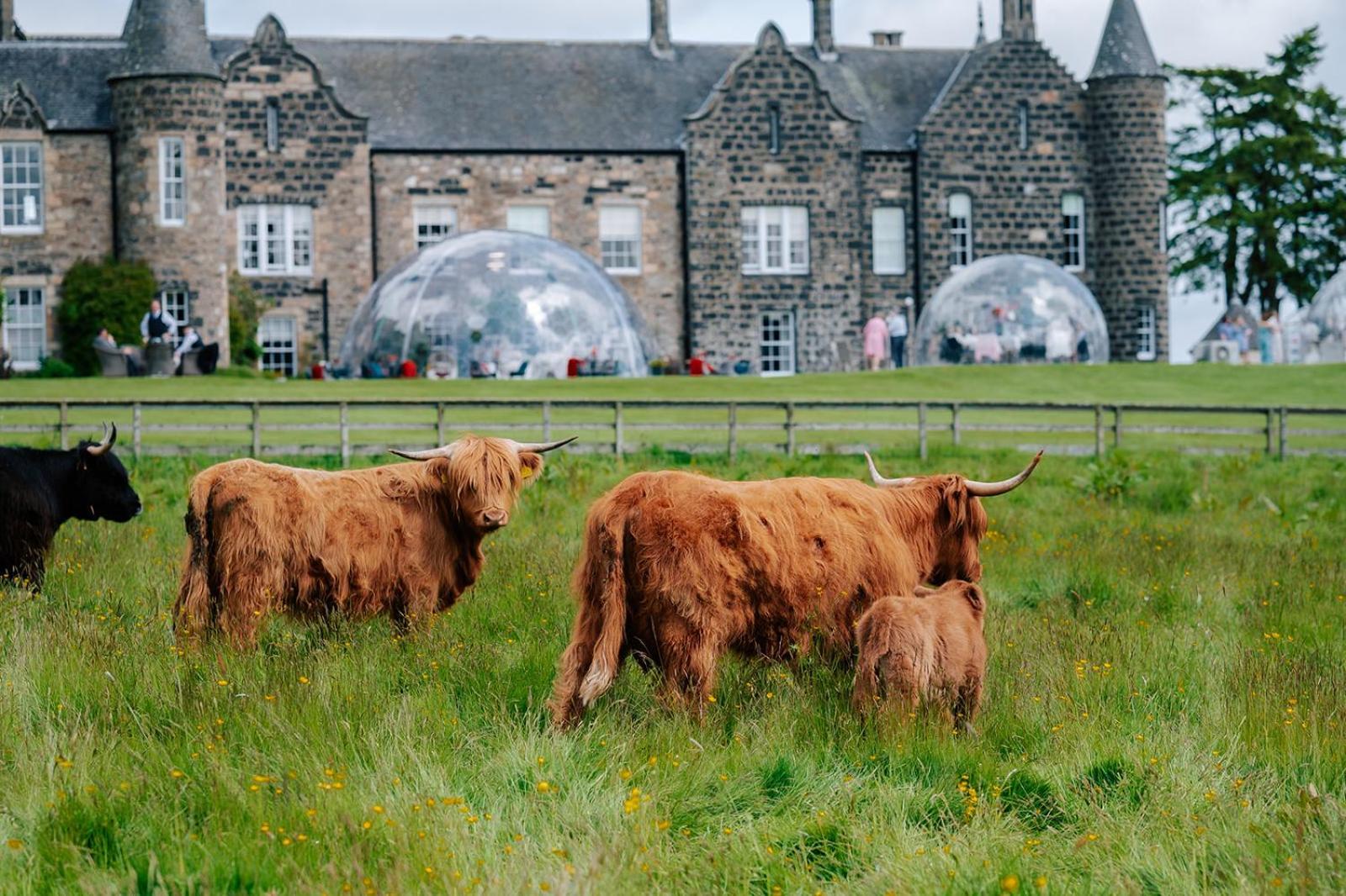 Meldrum House Golf And Country Estate Oldmeldrum